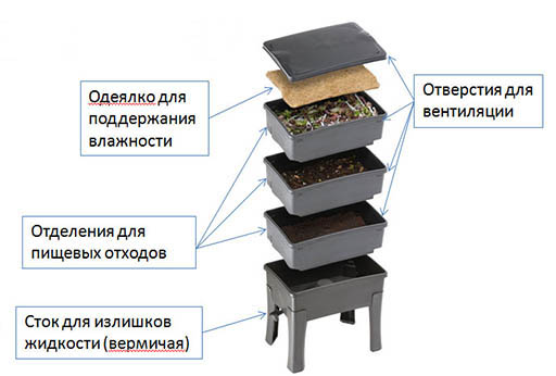 Сколько Червей В Коробке В Магазине